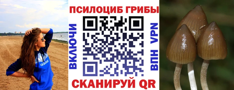 цена   mega сайт  Галлюциногенные грибы GOLDEN TEACHER  Слюдянка 